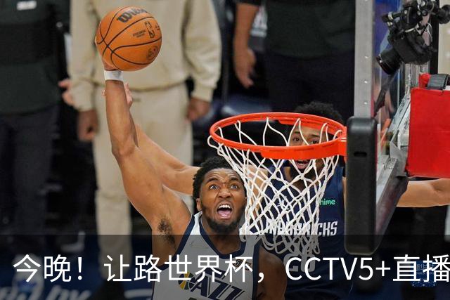 今晚！让路世界杯，CCTV5+直播中国女排VS法国，小将领衔冲击5连胜