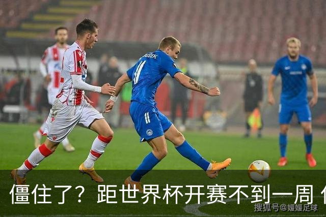 僵住了？距世界杯开赛不到一周 伊朗队仍未获得美国签证