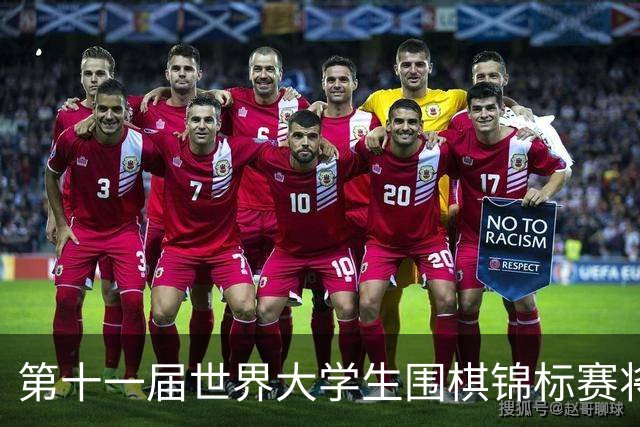 第十一届世界大学生围棋锦标赛将在荷兰举行