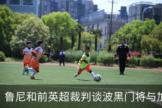 鲁尼和前英超裁判谈波黑门将与加拿大前锋碰撞：不是点球不是红牌