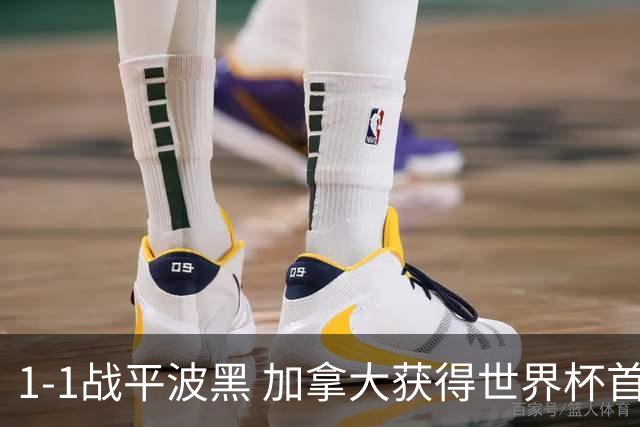 1-1战平波黑 加拿大获得世界杯首个积分